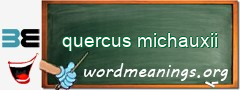 WordMeaning blackboard for quercus michauxii